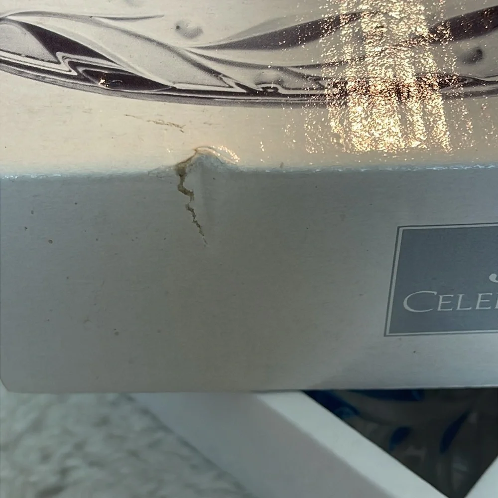 Mikasa nib celebrations
